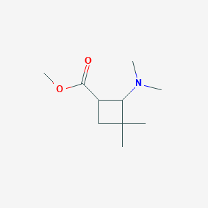 molecular formula C10H19NO2 B8486655 Methyl 3,3-dimethyl-2-dimethylaminocyclobutanecarboxylate 