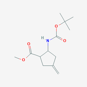molecular formula C13H21NO4 B8492020 (1RS,2RS)-2-tert-butoxycarbonylamino-4-methylene-cyclopentanecarboxylic acid methyl ester 