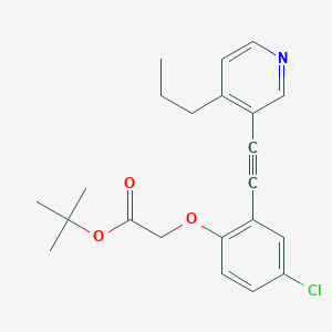 molecular formula C22H24ClNO3 B8492221 tert-butyl 2-[4-chloro-2-[2-(4-propylpyridin-3-yl)ethynyl]phenoxy]acetate 