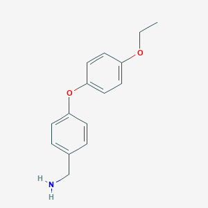 molecular formula C15H17NO2 B8493675 4-(4-Ethoxyphenoxy)benzylamine CAS No. 937599-05-8