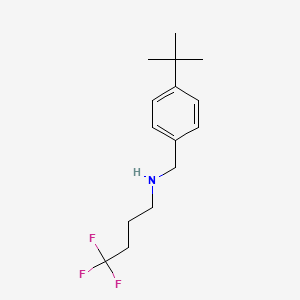 molecular formula C15H22F3N B8495504 (4-Tert-butyl-benzyl)-(4,4,4-trifluoro-butyl)-amine 