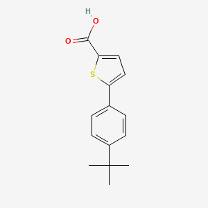 5-(4-Tert-butylphenyl)-2-thiophenecarboxylic acid