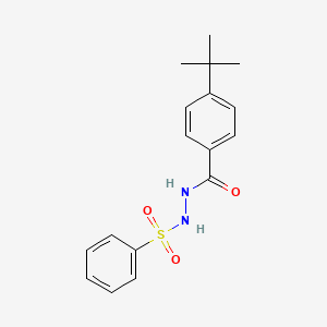 molecular formula C17H20N2O3S B8496645 4-(1,1-Dimethylethyl)-benzoic acid, 2-(phenylsulfonyl)hydrazide 