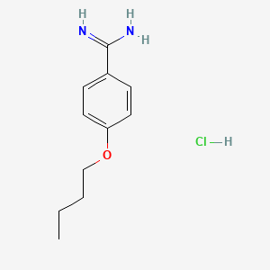 molecular formula C11H17ClN2O B8497501 Benzamidine, p-butoxy-, monohydrochloride CAS No. 29148-02-5