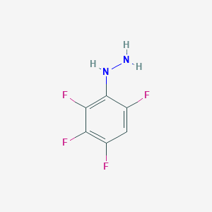 molecular formula C6H4F4N2 B8497996 2,3,4,6-Tetrafluorophenylhydrazine CAS No. 80025-73-6