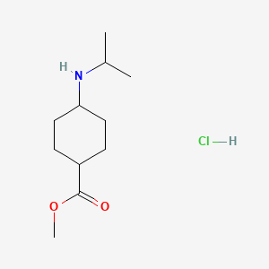 molecular formula C11H22ClNO2 B8503697 (1r,4r)-Methyl 4-(isopropylamino)cyclohexanecarboxylate hydrochloride 