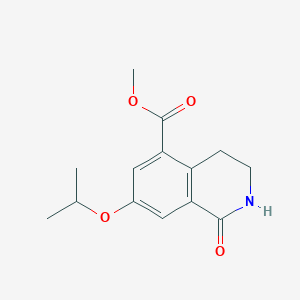 molecular formula C14H17NO4 B8506005 Methyl 1-oxo-7-(propan-2-yloxy)-1,2,3,4-tetrahydroisoquinoline-5-carboxylate 