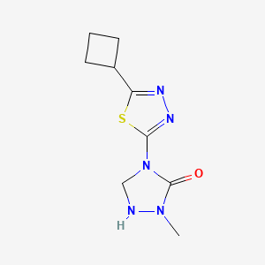 4-(5-Cyclobutyl-1,3,4-thiadiazol-2-yl)-2-methyl-1,2,4-triazolidin-3-one