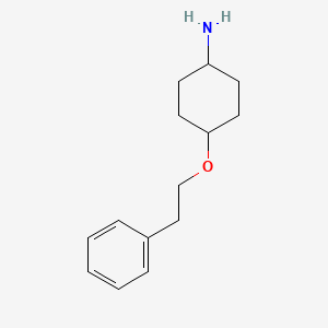 molecular formula C14H21NO B8508592 trans-4-(2-Phenyl-ethoxy)-cyclohexylamine 