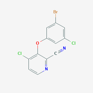 molecular formula C12H5BrCl2N2O B8508770 3-(3-Bromo-5-chlorophenoxy)-4-chloropyridine-2-carbonitrile 
