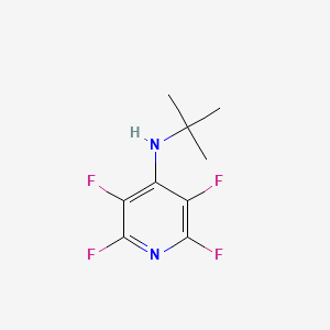 molecular formula C9H10F4N2 B8509086 4-(t-Butylamino)-2,3,5,6-tetrafluoropyridine 