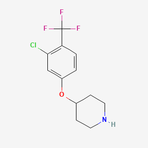 molecular formula C12H13ClF3NO B8510802 4-(3-Chloro-4-(trifluoromethyl)phenoxy)piperidine 