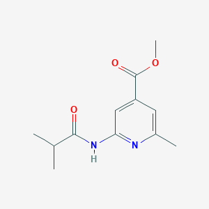 molecular formula C12H16N2O3 B8511350 Methyl 2-isobutyramido-6-methylisonicotinate 