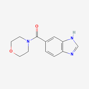 molecular formula C12H13N3O2 B8516237 (1H-benzoimidazol-5-yl)-morpholin-4-yl-methanone 