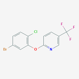 molecular formula C12H6BrClF3NO B8518189 2-(5-Bromo-2-chlorophenoxy)-5-(trifluoromethyl)pyridine 