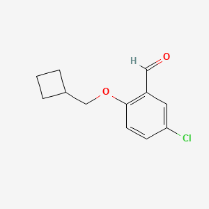 5-Chloro-2-(cyclobutylmethoxy)benzaldehyde