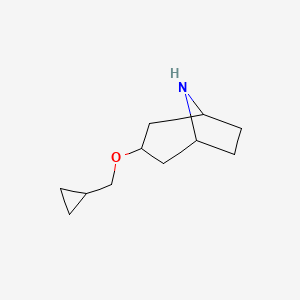 molecular formula C11H19NO B8524348 3-(Cyclopropylmethoxy)-8-azabicyclo[3.2.1]octane 