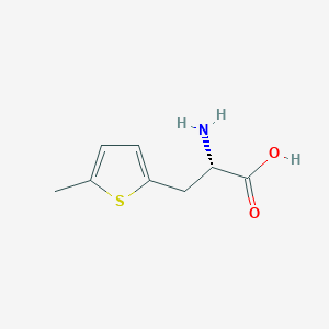 molecular formula C8H11NO2S B8525068 3-(5-Methyl-2-thienyl)alanine 