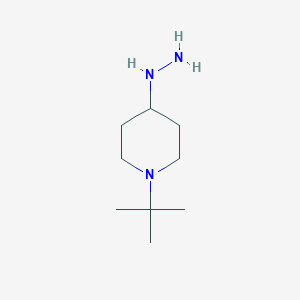 (1-Tert-butyl-piperidin-4-yl)-hydrazine