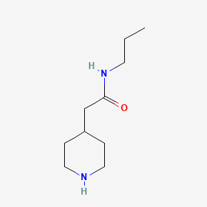 molecular formula C10H20N2O B8532281 N-n-propyl-2-(piperid-4-yl)acetamide 