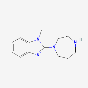 molecular formula C13H18N4 B8533072 2-[1.4]diazepan-1-yl-1-methyl-1H-benzimidazole 