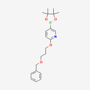 molecular formula C21H28BNO4 B8533172 2-(3-Benzyloxy-propoxy)-5-(4,4,5,5-tetramethyl-[1,3,2]dioxaborolan-2-yl)-pyridine 