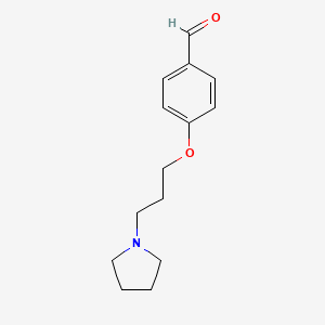 molecular formula C14H19NO2 B8533534 4-(3-Pyrrolidin-1-ylpropoxy)benzaldehyde 