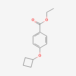 molecular formula C13H16O3 B8534183 Ethyl 4-cyclobutyloxybenzoate CAS No. 62577-96-2