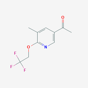 molecular formula C10H10F3NO2 B8537302 1-(5-Methyl-6-(2,2,2-trifluoroethoxy)pyridin-3-yl)ethanone 