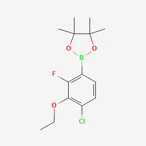 molecular formula C14H19BClFO3 B8540238 2-(4-Chloro-3-ethoxy-2-fluorophenyl)-4,4,5,5-tetramethyl-1,3,2-dioxaborolane 