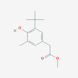 molecular formula C14H20O3 B8541686 Methyl (3-methyl-5-t-butyl-4-hydroxyphenyl)acetate 