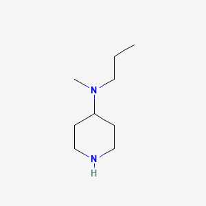 molecular formula C9H20N2 B8544814 Methyl-piperidin-4-yl-propyl-amine 