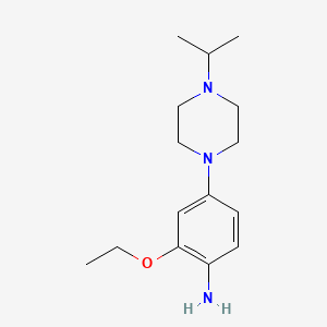 molecular formula C15H25N3O B8549396 (2-(Ethyloxy)-4-[4-(1-methylethyl)-1-piperazinyl]phenyl}amine 