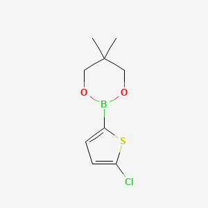 molecular formula C9H12BClO2S B8552291 2-(5-Chloro-2-thienyl)-5,5-dimethyl-1,3,2-dioxaborinane CAS No. 635305-25-8