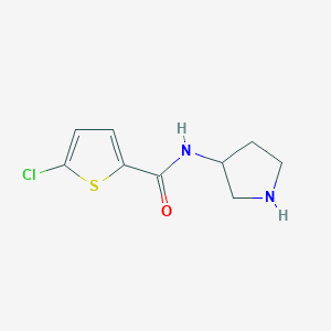 molecular formula C9H11ClN2OS B8552547 5-chloro-N-pyrrolidin-3-ylthiophene-2-carboxamide 