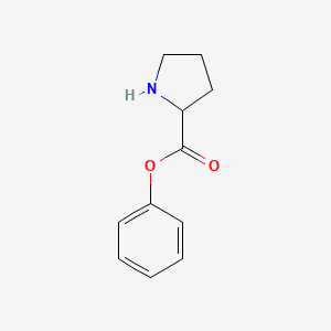 molecular formula C11H13NO2 B8553116 Phenyl pyrrolidine-2-carboxylate 