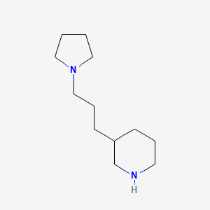 molecular formula C12H24N2 B8558767 3-[3-(1-Pyrrolidinyl)propyl]piperidine 