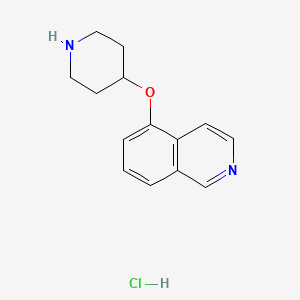 molecular formula C14H17ClN2O B8564473 4-[(5-Isoquinolyl)oxy]piperidine hydrochloride CAS No. 651307-13-0