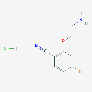 2-(2-Aminoethoxy)-4-bromobenzonitrile hydrochloride