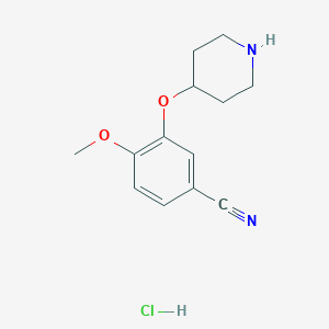 molecular formula C13H17ClN2O2 B8567384 4-Methoxy-3-(piperidin-4-yloxy)benzonitrile hcl 