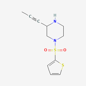 molecular formula C11H14N2O2S2 B8570069 3-(1-Propyn-1-yl)-1-(2-thiophenylsulfonyl)piperazine 