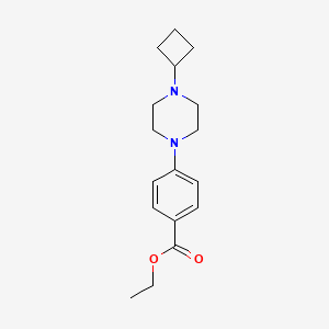 molecular formula C17H24N2O2 B8570697 Ethyl 4-(4-cyclobutylpiperazin-1-yl)benzoate 