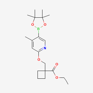 molecular formula C20H30BNO5 B8575197 Ethyl 1-(((4-methyl-5-(4,4,5,5-tetramethyl-[1,3,2]dioxaborolan-2-yl)pyridin-2-yl)oxy)methyl)cyclobutanecarboxylate 