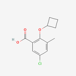 molecular formula C12H13ClO3 B8576114 5-Chloro-2-cyclobutoxy-3-methyl-benzoic acid 