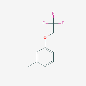 molecular formula C9H9F3O B8576206 3-(2,2,2-Trifluoroethoxy)toluene 