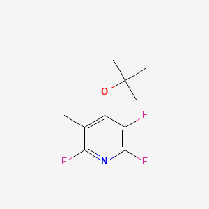 molecular formula C10H12F3NO B8576645 4-t-Butoxy-2,3,6-trifluoro-5-methylpyridine 