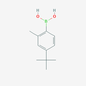 molecular formula C11H17BO2 B8577012 (4-Tert-butyl-2-methylphenyl)boronic acid 