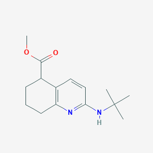Methyl 2-(tert-butylamino)-5,6,7,8-tetrahydroquinoline-5-carboxylate