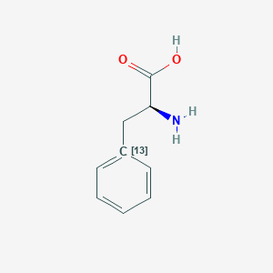 molecular formula C9H11NO2 B8581220 (1-13C)Phenylalanine 