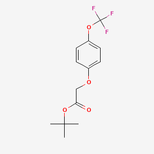 molecular formula C13H15F3O4 B8582156 (4-Trifluoromethoxyphenoxy)-acetic acid tert-butyl ester 